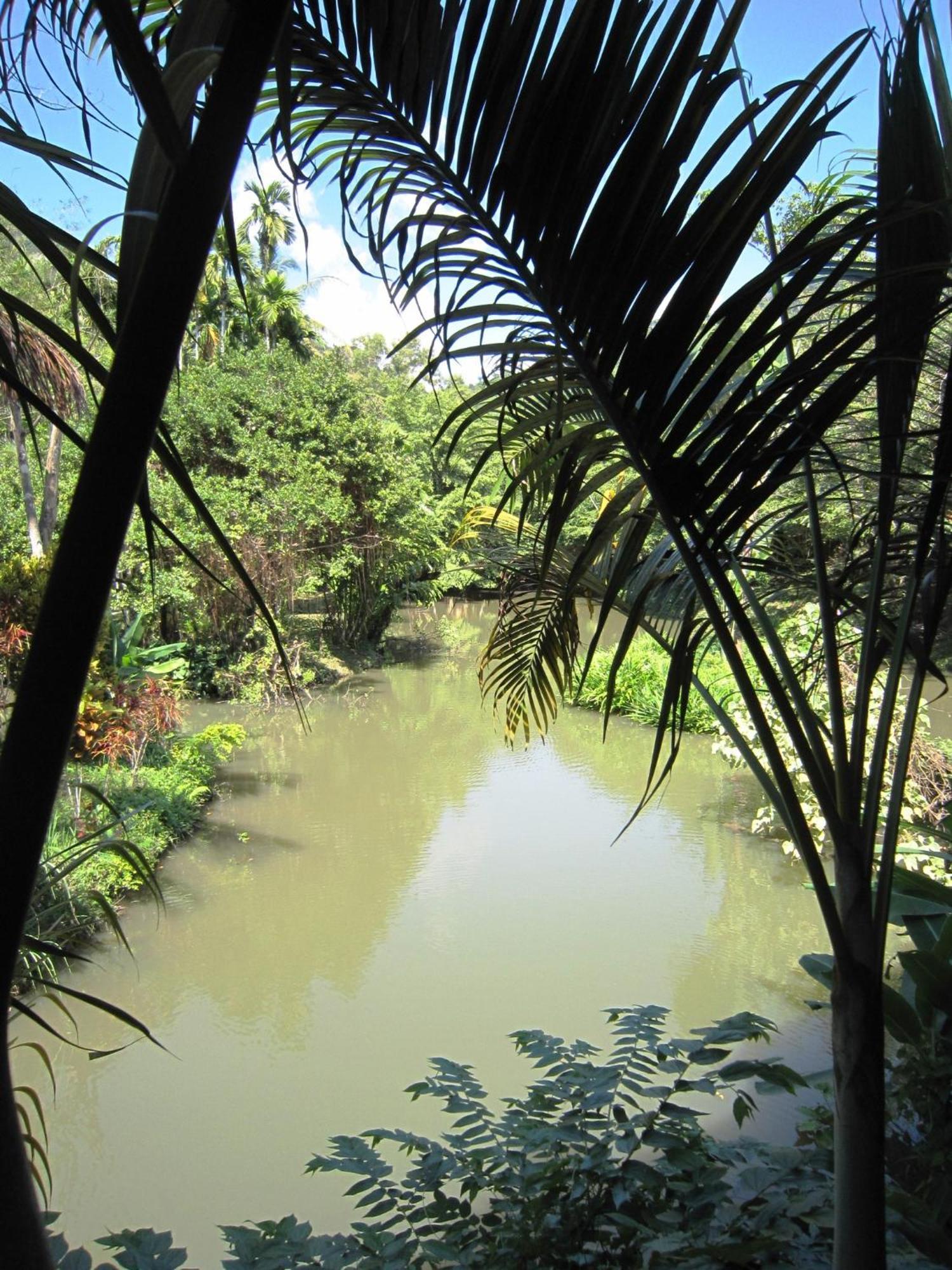 Phanom Bencha Mountain Resort Krabi town Extérieur photo