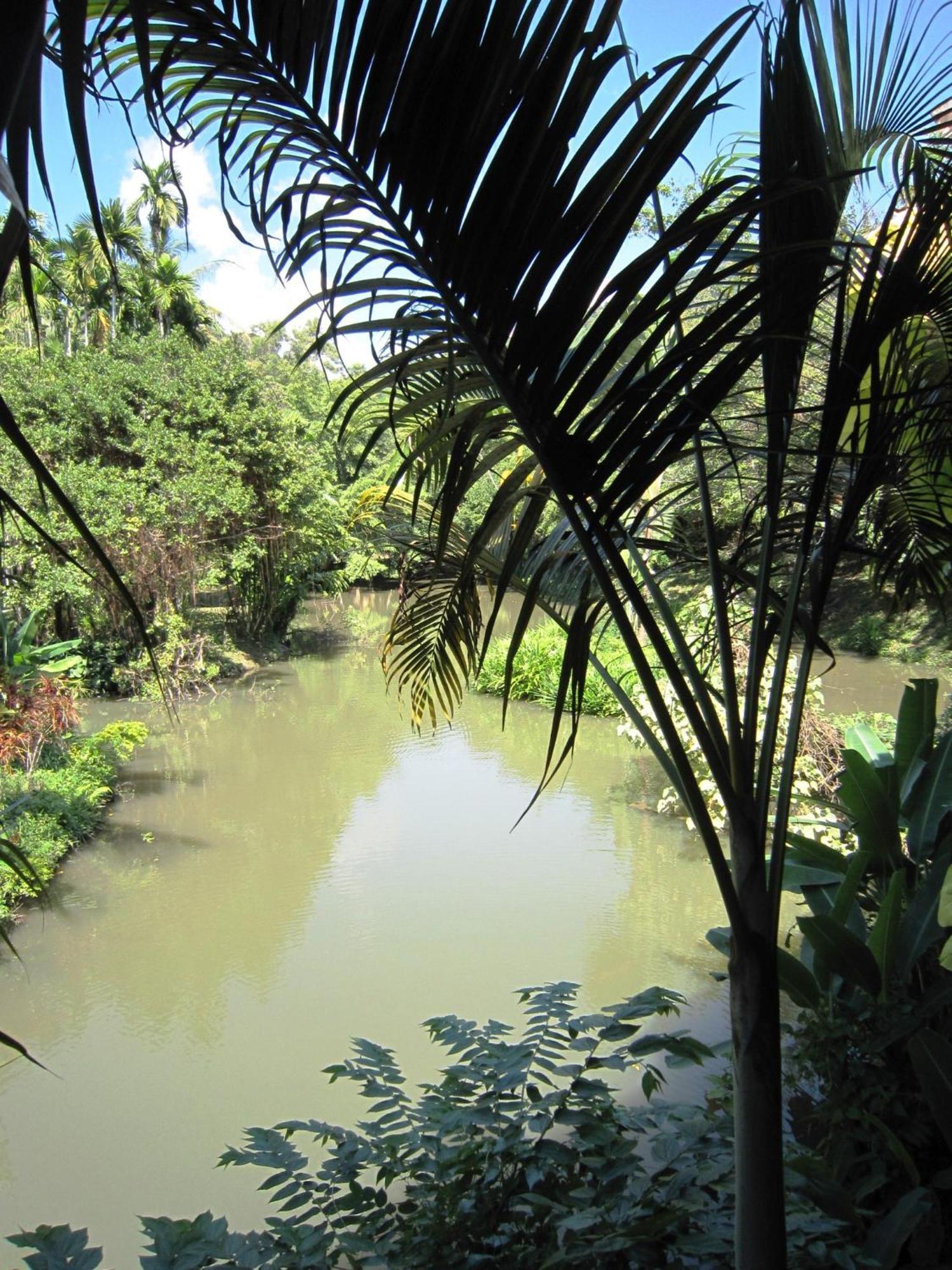 Phanom Bencha Mountain Resort Krabi town Extérieur photo