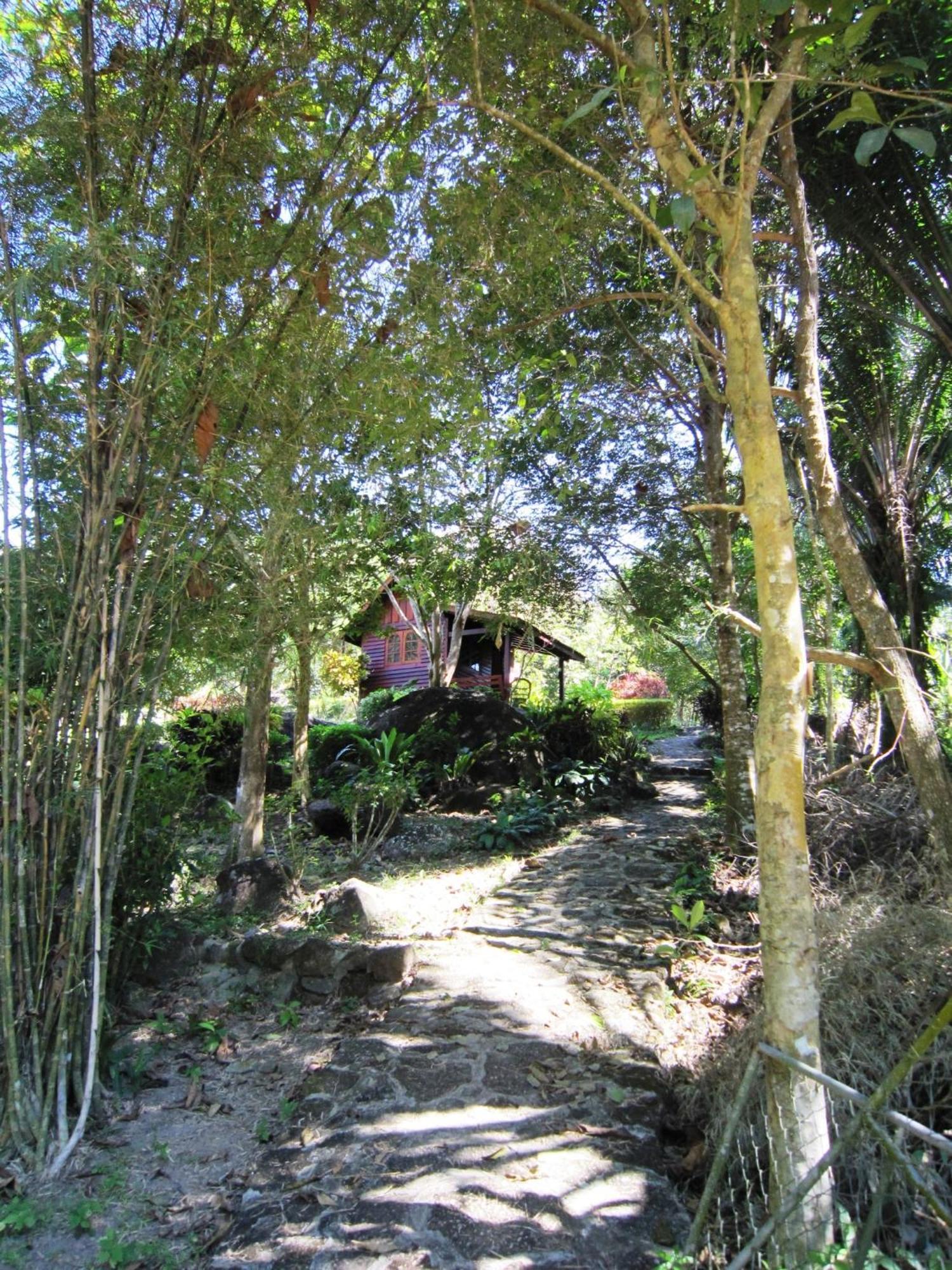 Phanom Bencha Mountain Resort Krabi town Extérieur photo
