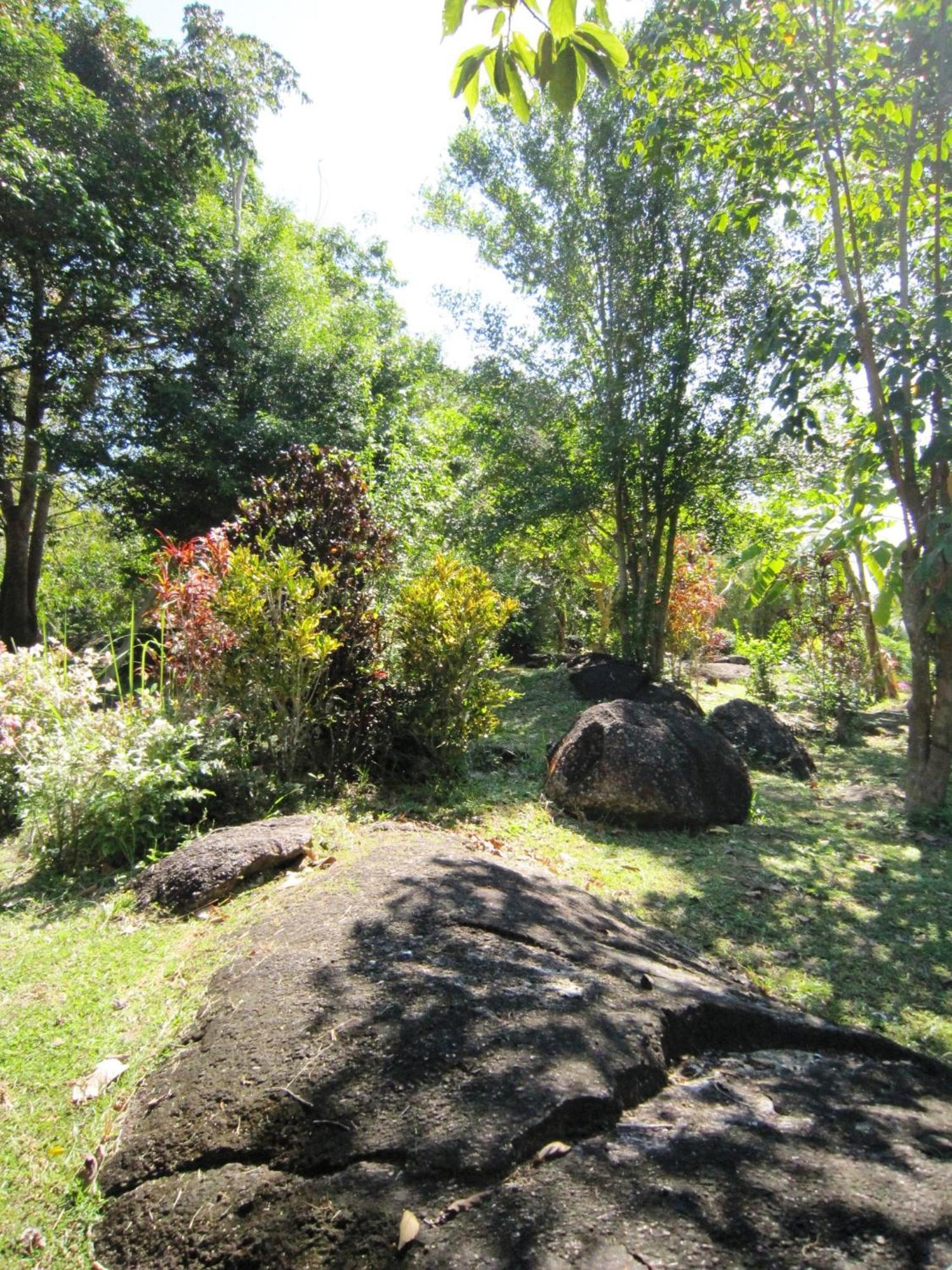 Phanom Bencha Mountain Resort Krabi town Extérieur photo
