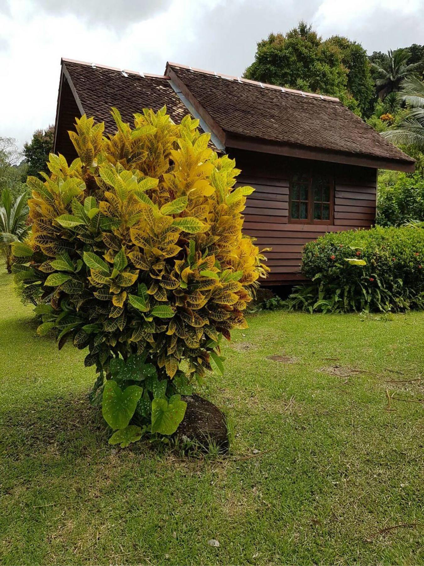 Phanom Bencha Mountain Resort Krabi town Extérieur photo